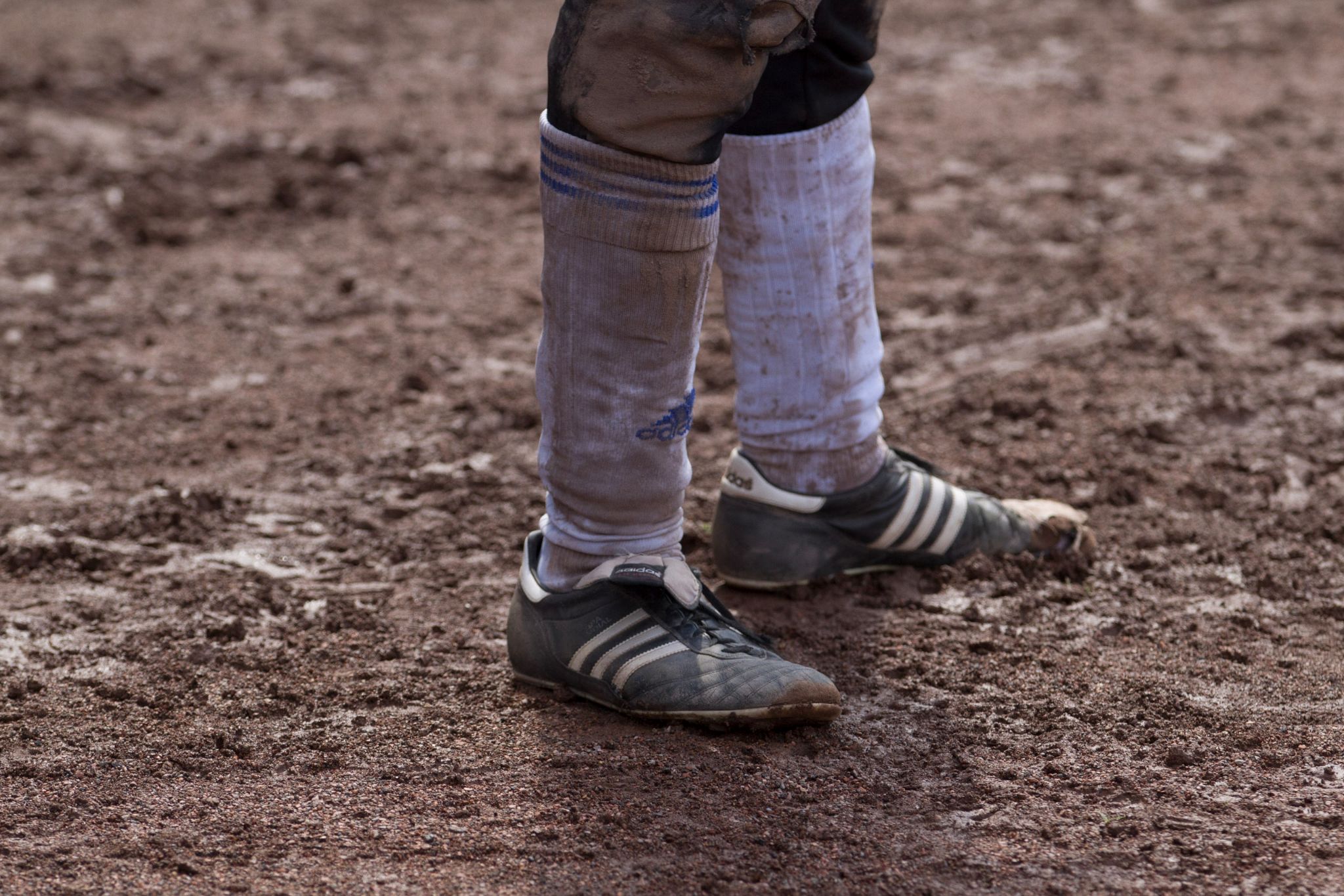 USC Paloma, Hamburg 2014