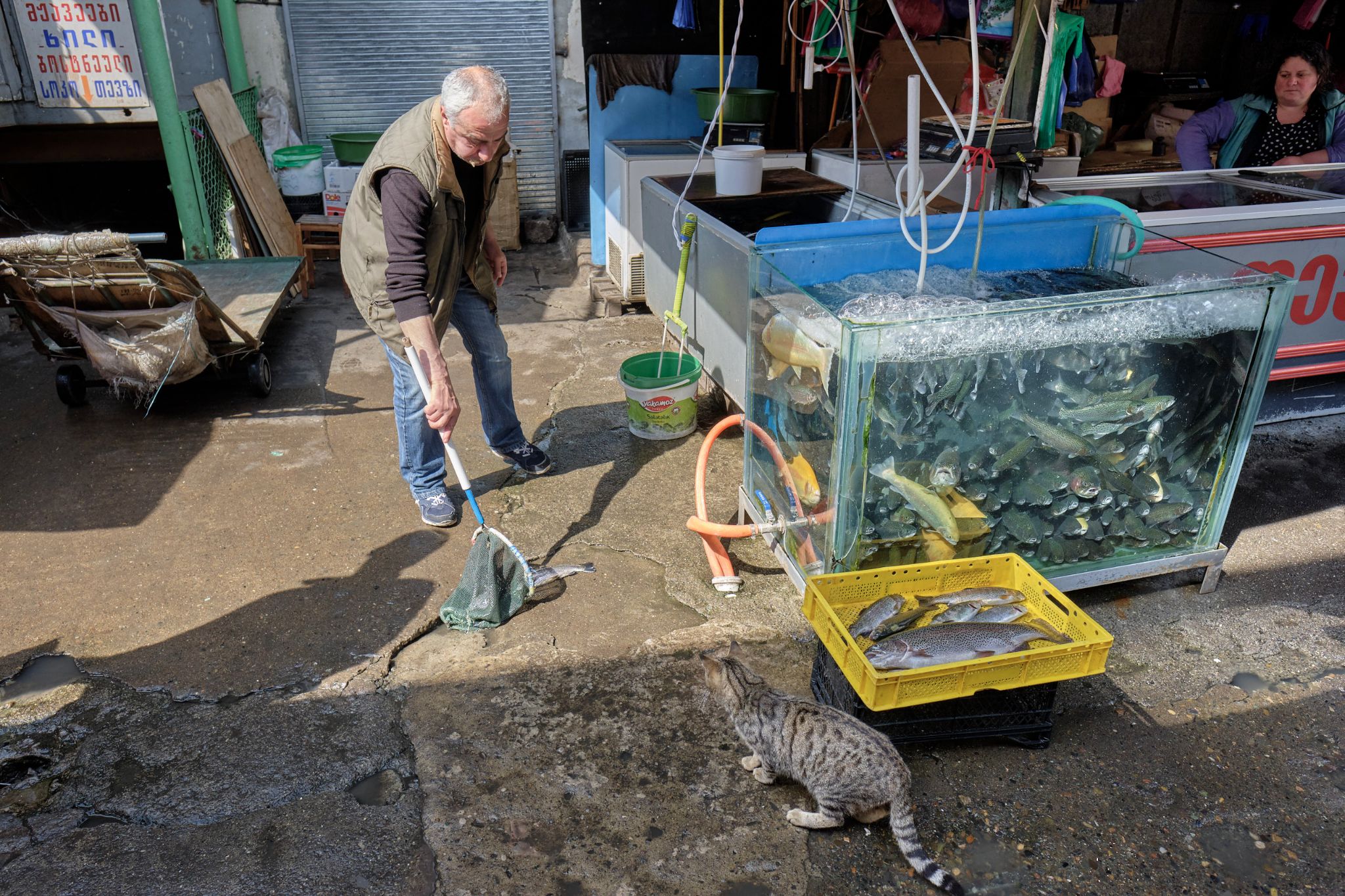 DOP_20180930_DIO4085.RAF